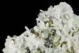Quartz and Pyrite Crystal Association - Peru #141818-1